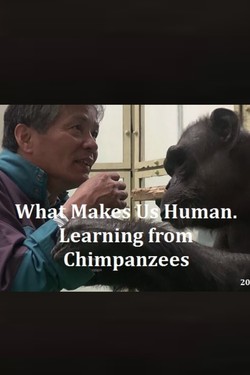 Что делает нас людьми. Учимся у шимпанзе - смотреть онлайн