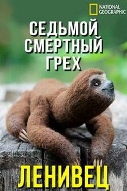 NG: Ленивцы: Седьмой смертный грех - смотреть онлайн