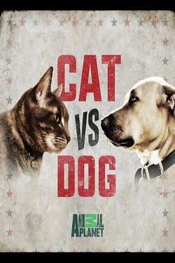 Nat Geo Wild: Заклятые враги. Кошки против собак - смотреть онлайн