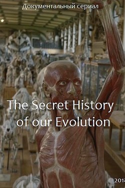 Тайная история человеческой эволюции - смотреть онлайн