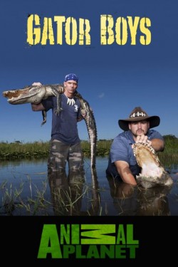 Укротители аллигаторов - смотреть онлайн