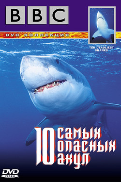 BBC: 10 самых опасных акул - смотреть онлайн