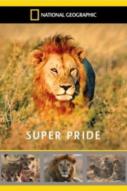 NG. Cуперпрайд - смотреть онлайн