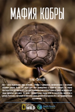 Мафия кобр - смотреть онлайн