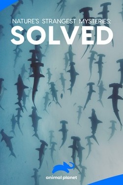 Animal Planet: Секреты природы - смотреть онлайн