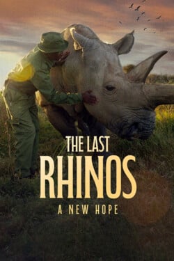 Последние носороги: Новая надежда - смотреть онлайн