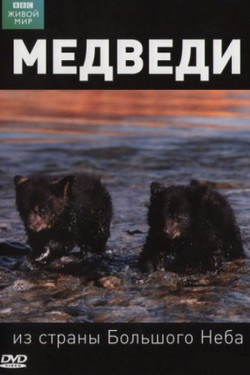 BBC: Медведи из страны большого неба - смотреть онлайн