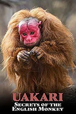 Уакари. Секреты английских обезьян - смотреть онлайн