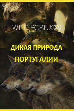 Дикая природа Португалии - смотреть онлайн