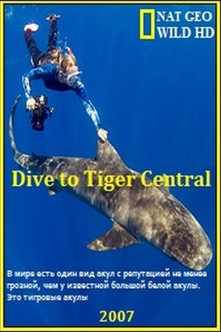 NG. Погружение в царство тигровых акул - смотреть онлайн