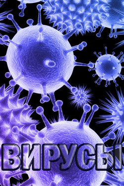 Discovery. Вирусы  - смотреть онлайн