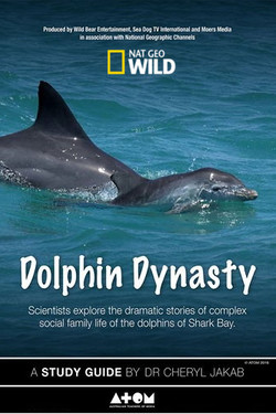 NGW: Династия дельфинов - смотреть онлайн