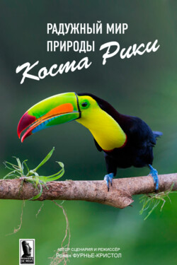 Радужный мир природы Коста-Рики - смотреть онлайн