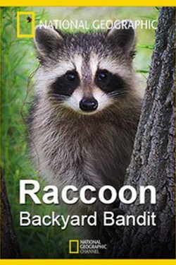 National Geographic: Нашествие енотов - смотреть онлайн