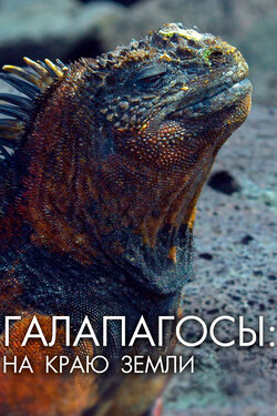 Галапагосы: На краю Земли - смотреть онлайн