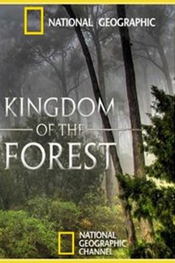 NG: Лесное царство - смотреть онлайн