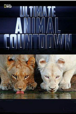 Животные-рекордсмены - смотреть онлайн