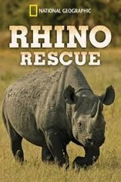 NG: Возвращение носорогов - смотреть онлайн