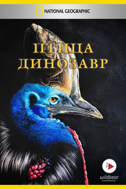 Птица-динозавр - смотреть онлайн