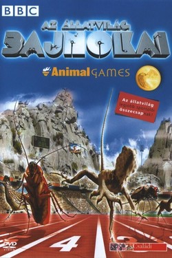 BBC: Зоо олимпиада - смотреть онлайн