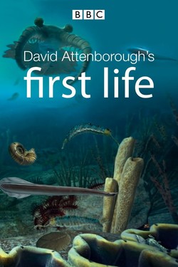 BBC: Истоки жизни  - смотреть онлайн