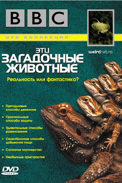 BBC: Эти загадочные животные - смотреть онлайн