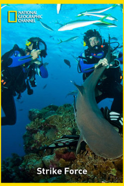 В подводном царстве - смотреть онлайн