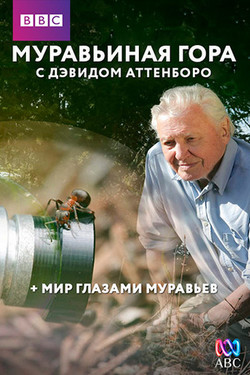 Муравьиная гора с Дэвидом Аттенборо - смотреть онлайн