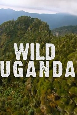 Дикая Уганда - смотреть онлайн