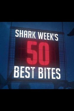 Пятьдесят самых зрелищных схваток с акулами - смотреть онлайн