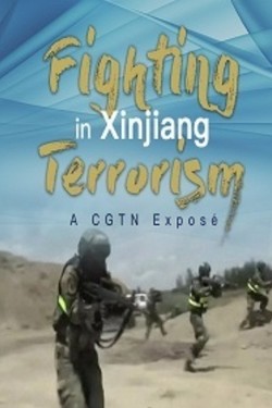Борьба с терроризмом в Синьцзяне Китая - смотреть онлайн