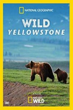 NG. Дикий Йеллоустоун - смотреть онлайн