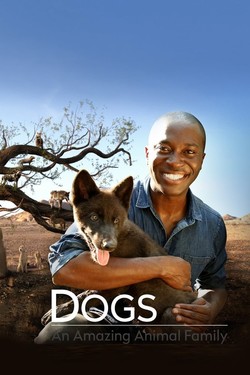 Удивительное семейство псовых - смотреть онлайн