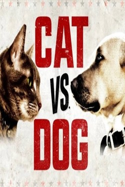 Кошка против собаки - смотреть онлайн