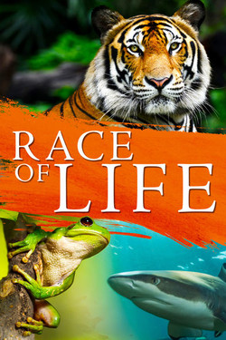 Nat Geo Wild: Гонка жизни - смотреть онлайн