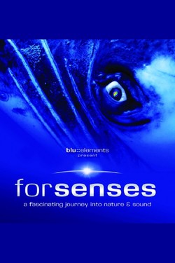 Forsenses - смотреть онлайн