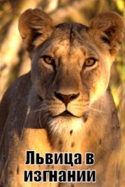 NG: Львица в изгнании - смотреть онлайн