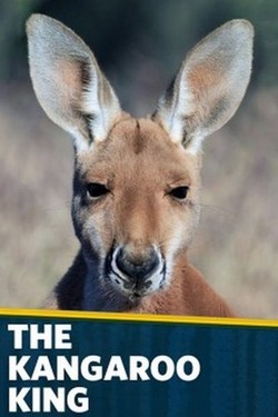 NG: Король кенгуру - смотреть онлайн